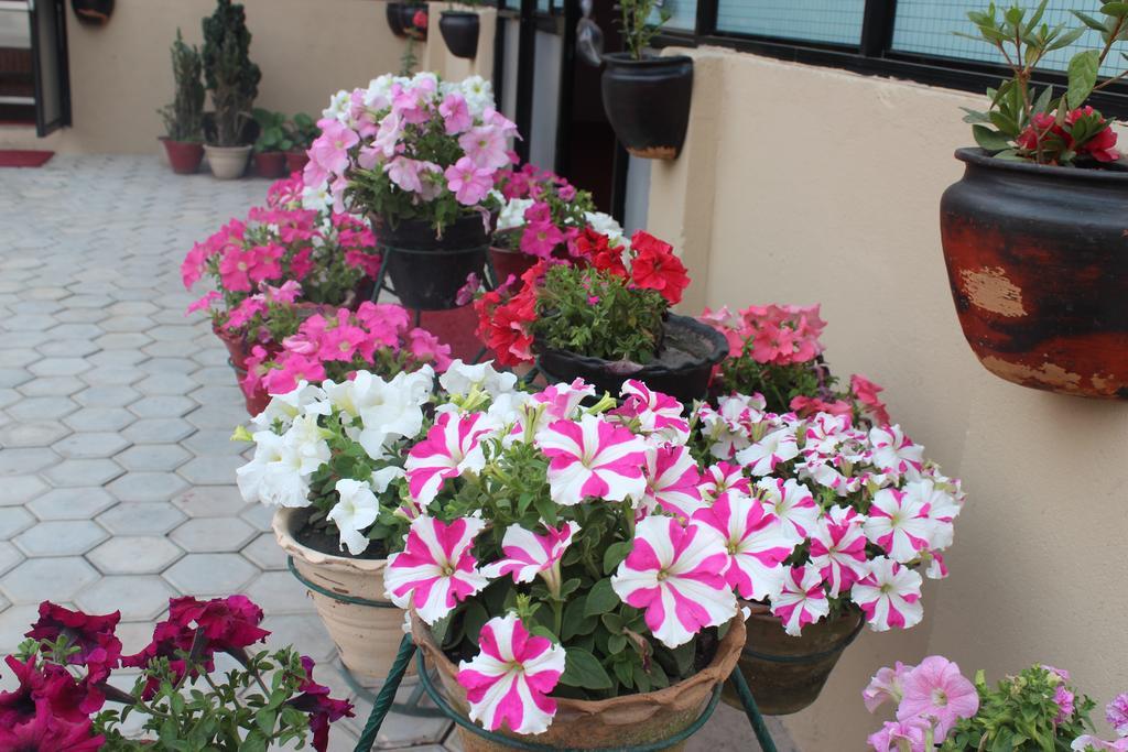 Dipankara Holiday Home Kathmandu Buitenkant foto