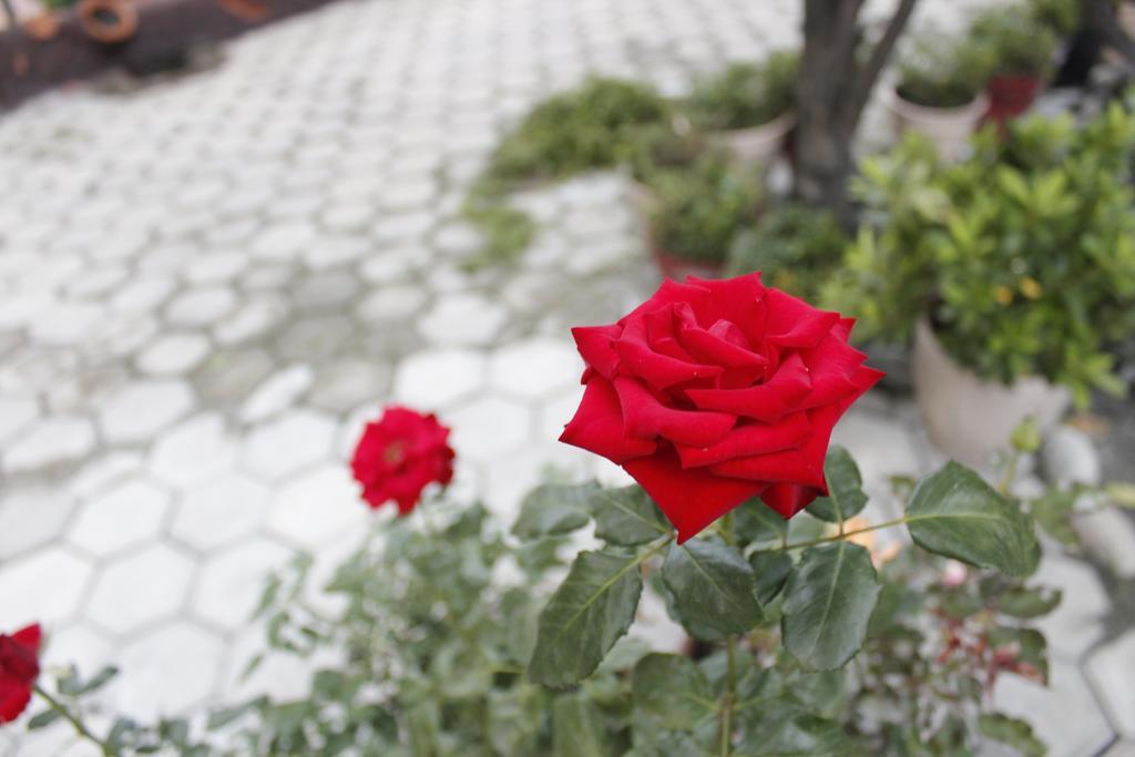 Dipankara Holiday Home Kathmandu Buitenkant foto